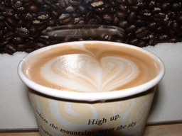 microfoam.jpg