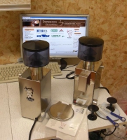 width=619&height=683