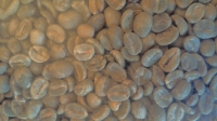 width=1024&height=576