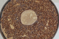 width=1024&height=683