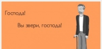 width=300&height=144