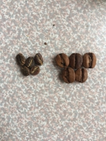 width=1024&height=1365