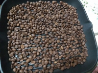 width=1024&height=768