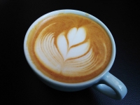width=1024&height=768