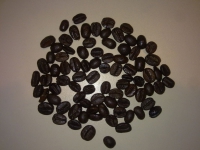 width=1024&height=768