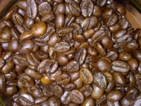 width=1024&height=768