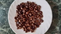 width=1024&height=576