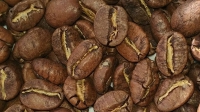 width=1024&height=576