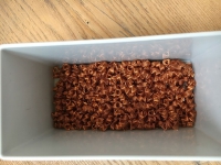 width=1024&height=768