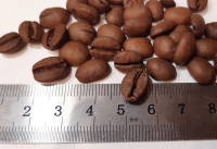 width=1023&height=702