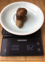 width=2946&height=4030
