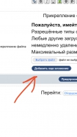 width=631&height=1121