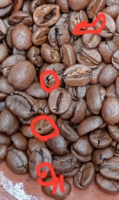 width=186&height=312