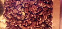 width=1023&height=487