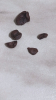width=1024&height=1821